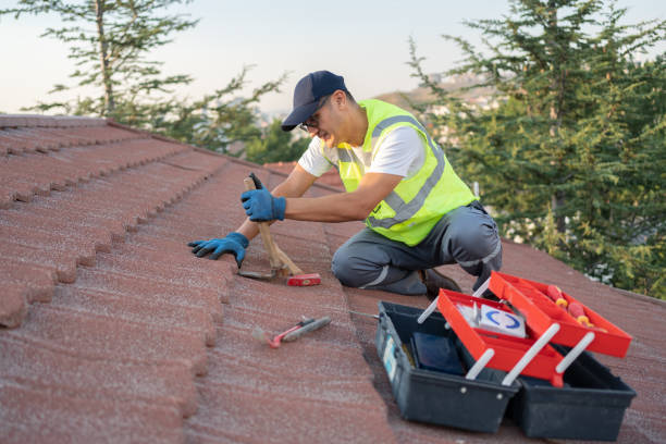 Roof Gutter Cleaning in Hayti, PA