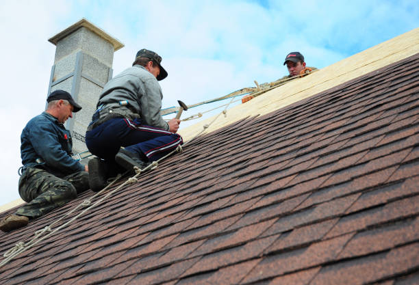 Quick and Trustworthy Emergency Roof Repair Services in Hayti, PA